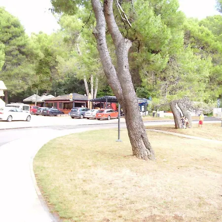 Apartment Pizonova 3 *