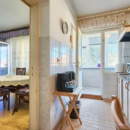 Pizonova 3 Apartman *
